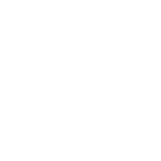 Lion Umzüge - Logo White