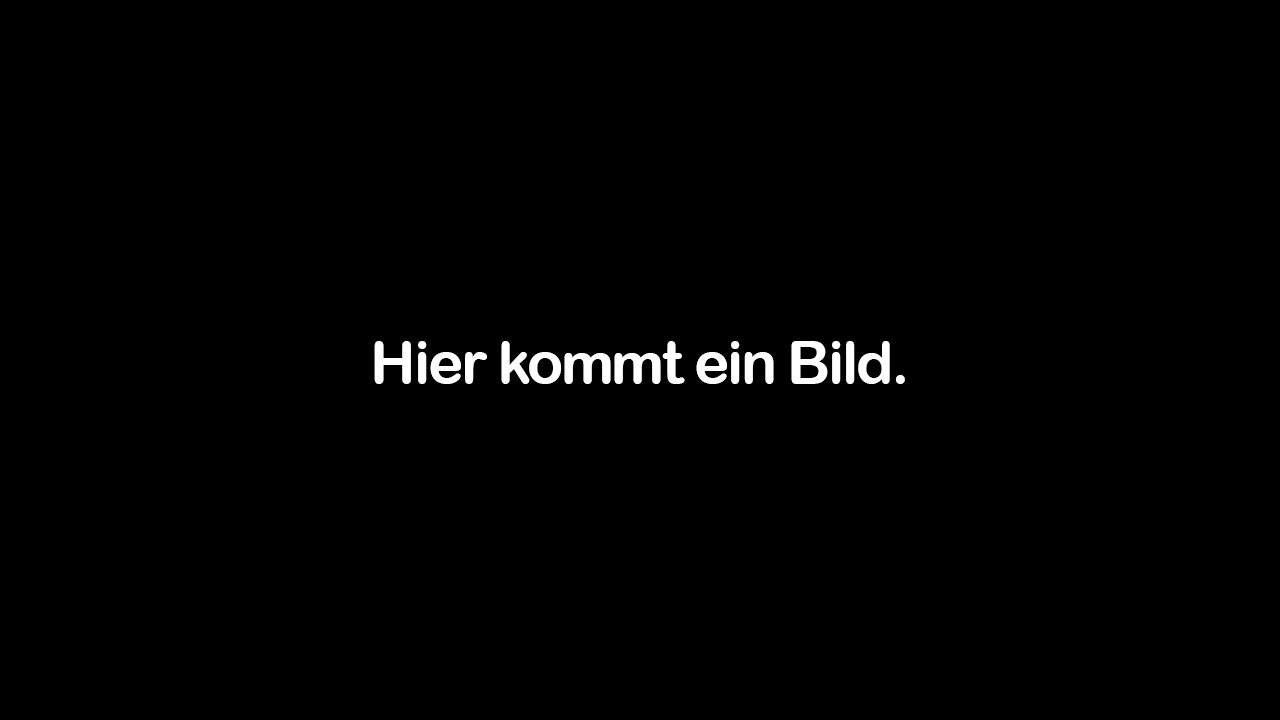 Umzugsunternehmen Berlin – Lion Umzüge