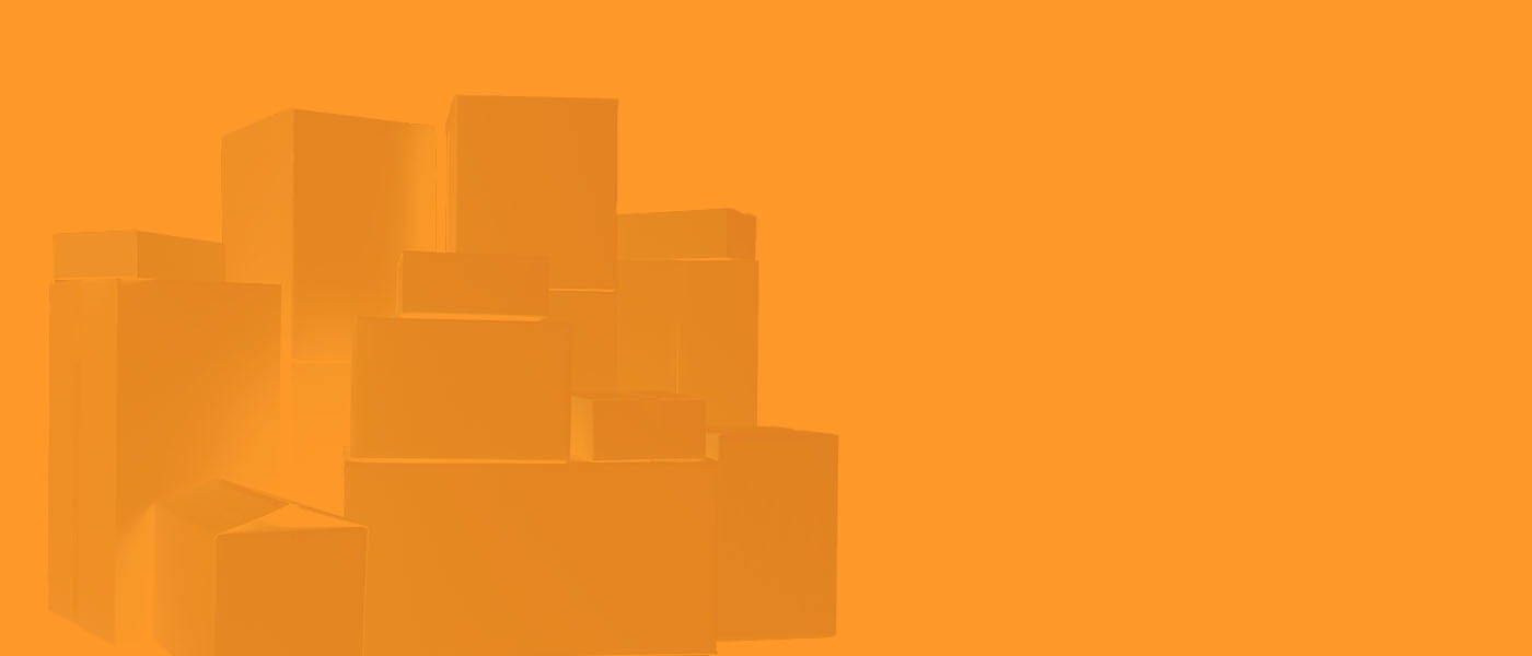 Fernumzug Berlin Dortmund - Lion Umzuege