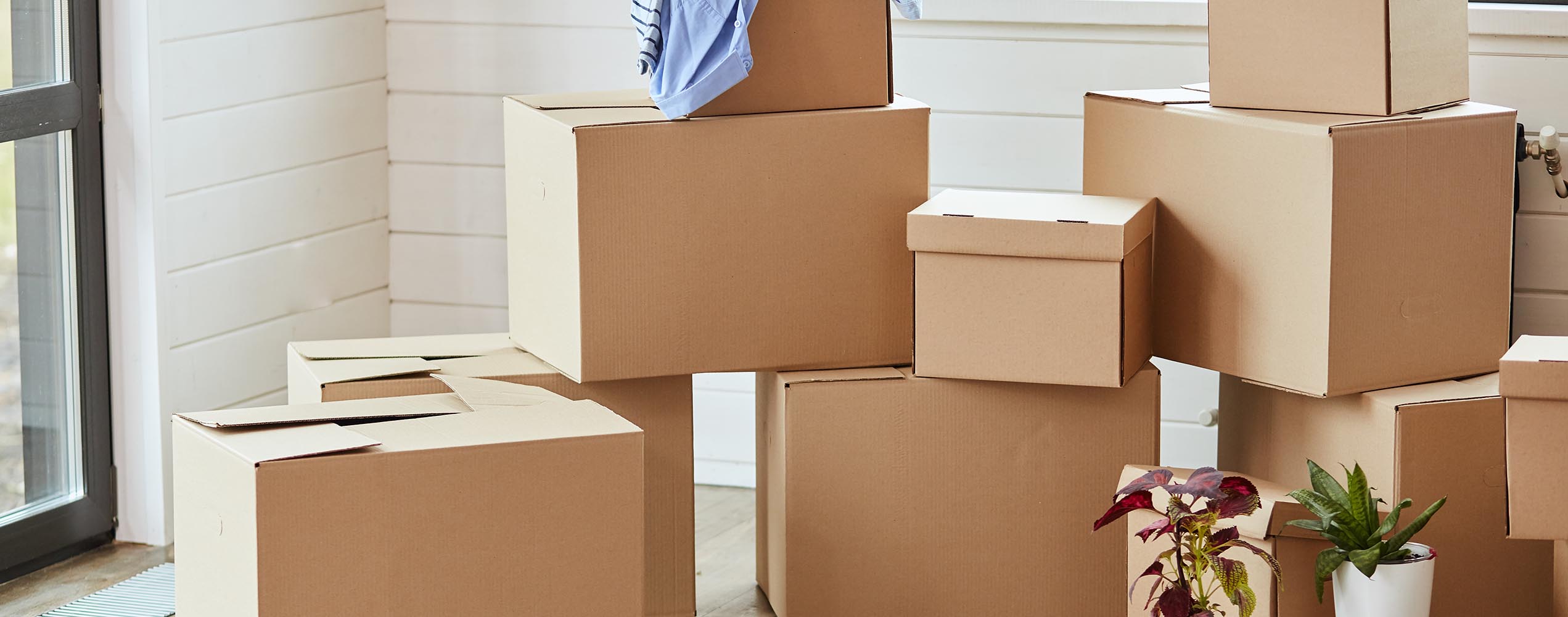 Umzug Koeln Berlin - Professionell