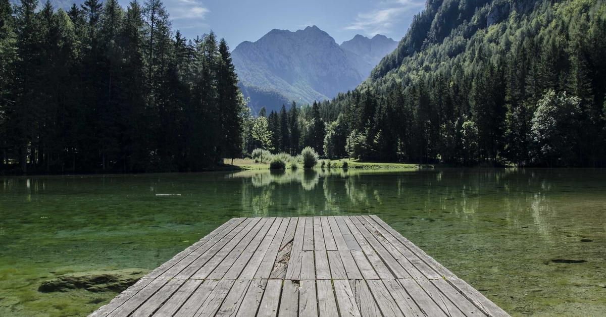 Umzugsunternehmen Berlin – Lion Umzüge