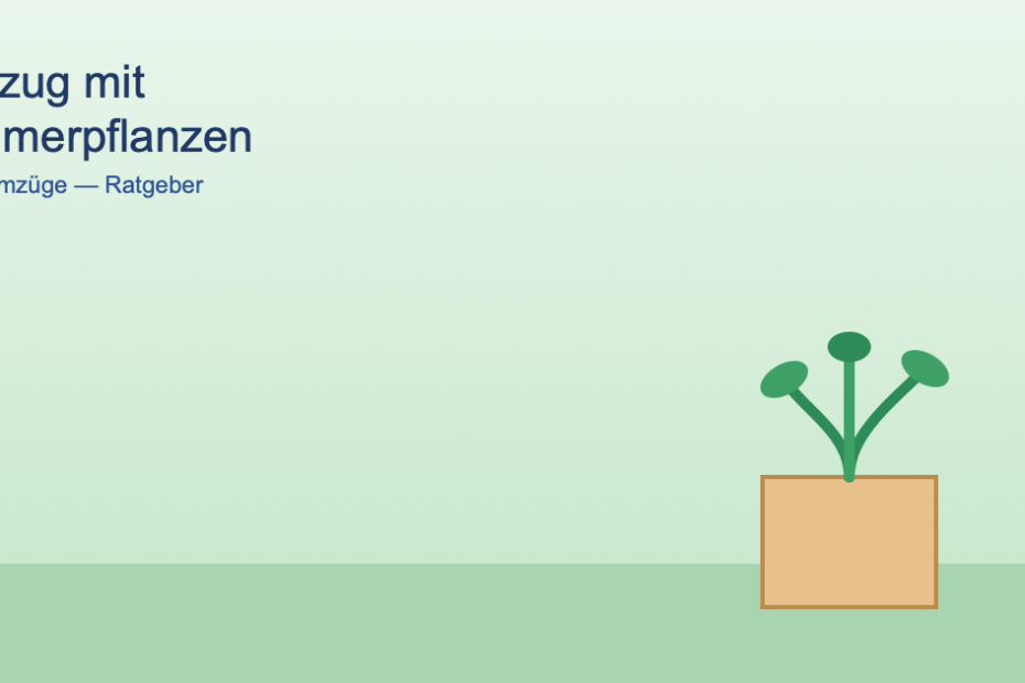 Symbolgrafik eines Blumentopfs mit Pflanze in einem Umzugskarton