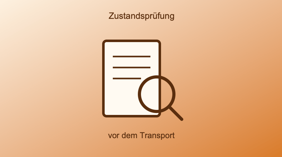 Illustration eines Dokuments mit Lupe, symbolisiert die Zustandsprüfung eines Fahrzeugs vor dem Transport beim Umzug